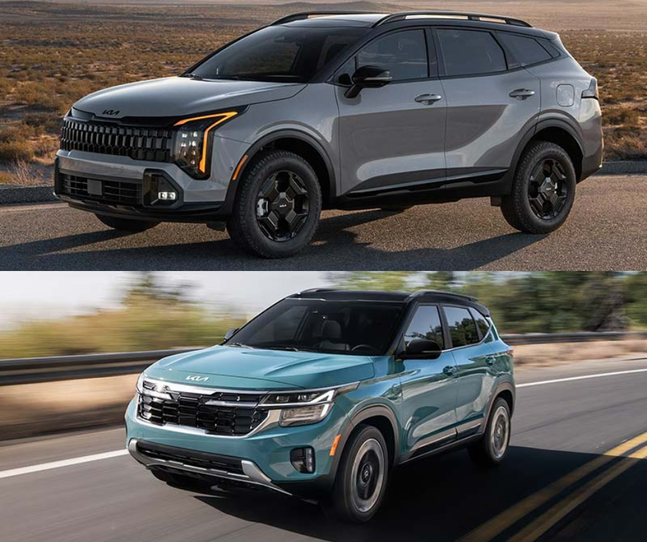2026 sportage vs seltos